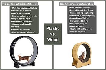 専用　キャットホイール　ONE　FAST　CAT Cat Exercise Wheel by One Fast Cat | Made in California